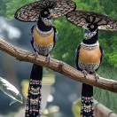 李旭芳18334515006