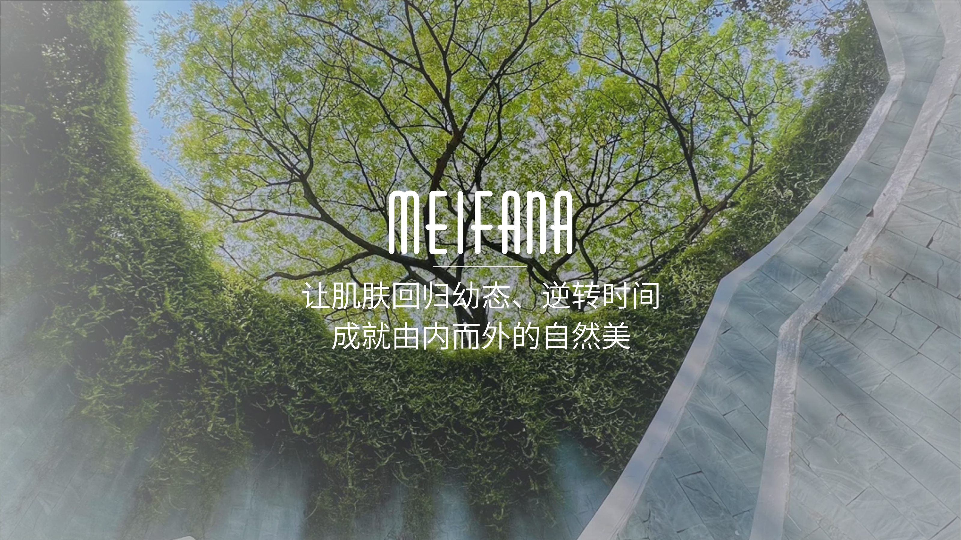 【新加坡进口】MEIFANA透亮胶原蛋白抗皱三件套装