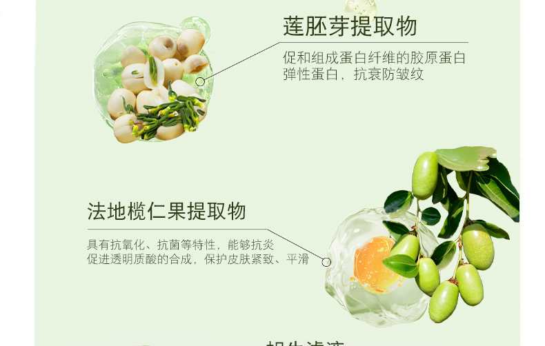 【限时优惠】银城木槿清润舒缓精华露40g|舒缓肌肤不红脸|持水滋润真莹润|稳固屏障强耐受