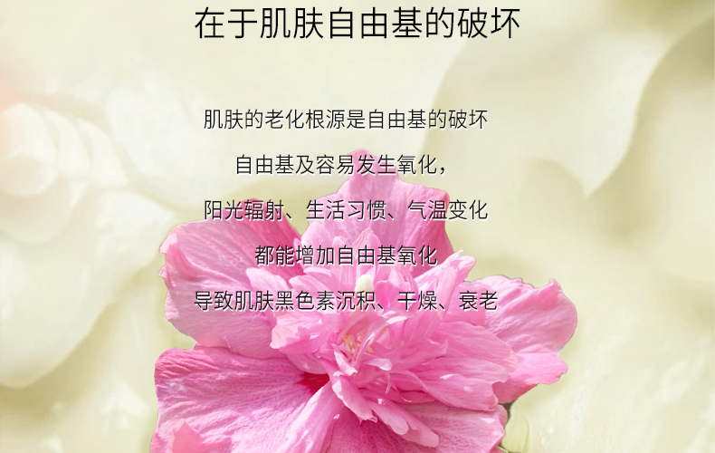 【银城木槿】木槿花雨后徜徉香氛植萃身体乳500g