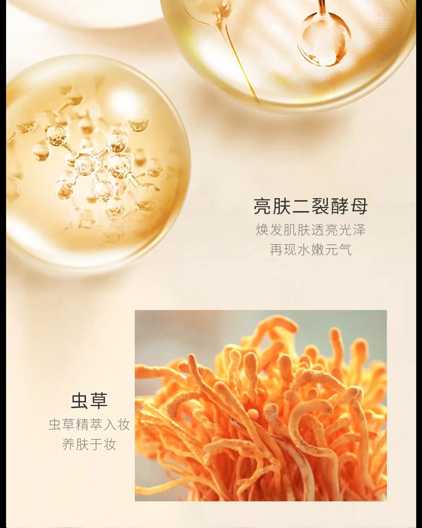 【美记秀尔】虫草臻颜遮瑕持妆三色气垫霜|净含量：13g/赠送替换装+1