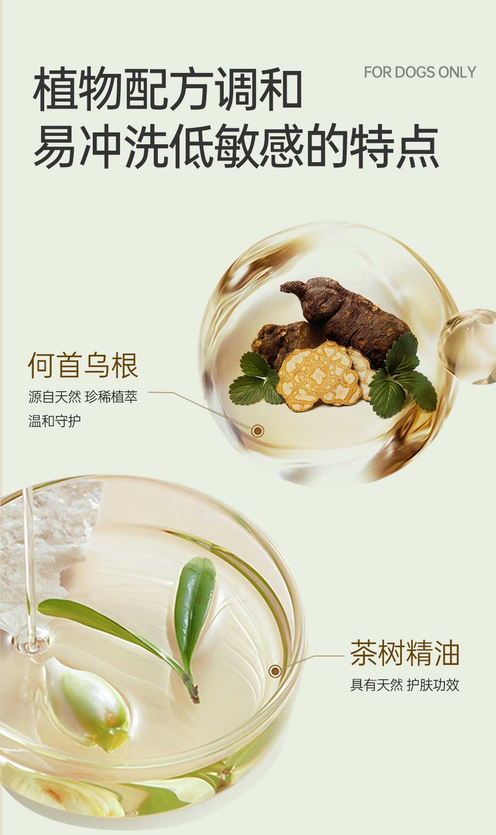 【JINCHONG今宠】全犬通用柔顺沐浴露 4L/桶 多效合一超大容量