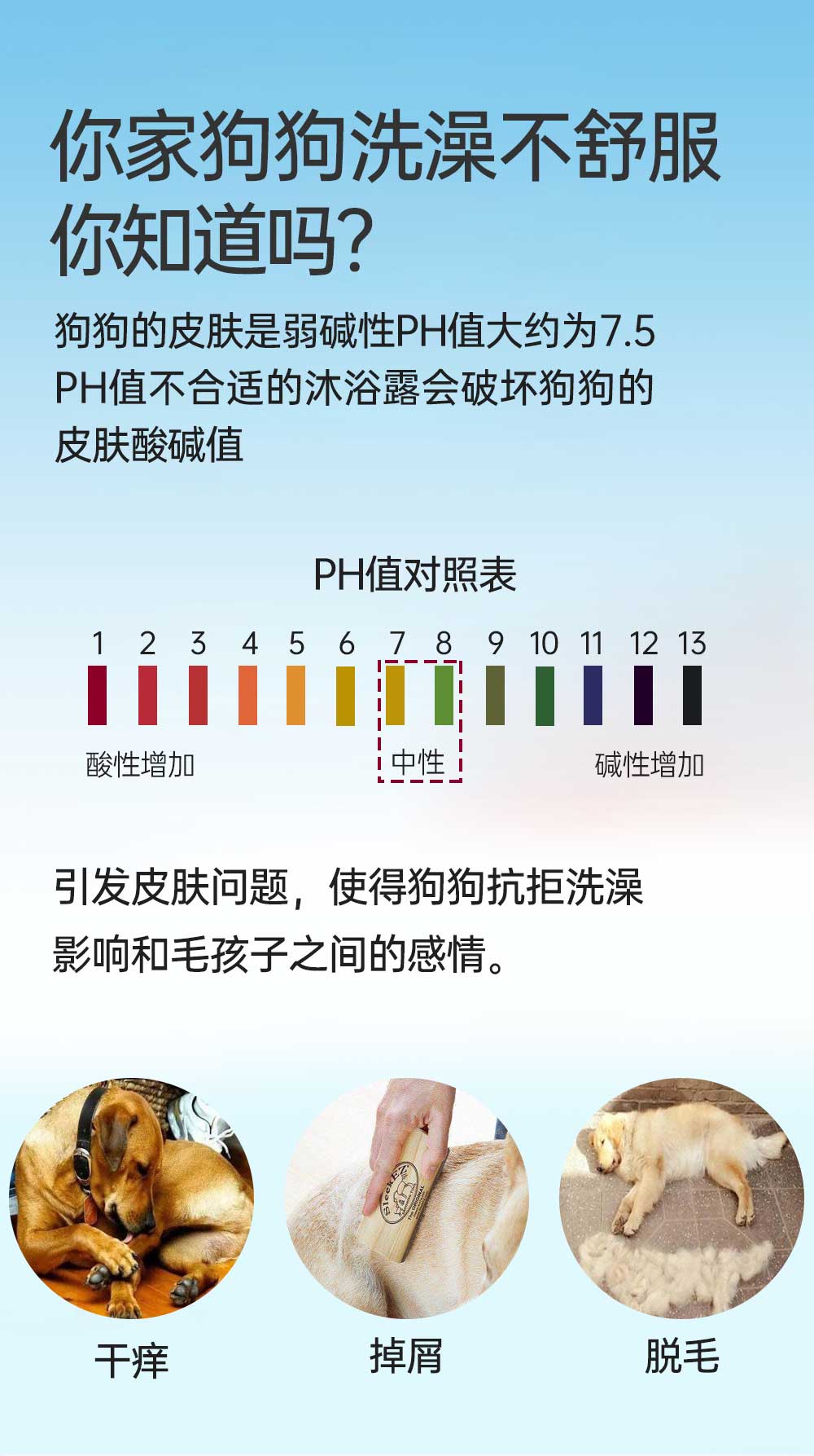 【JINCHONG今宠】全犬通用柔顺沐浴露 4L/桶 多效合一超大容量