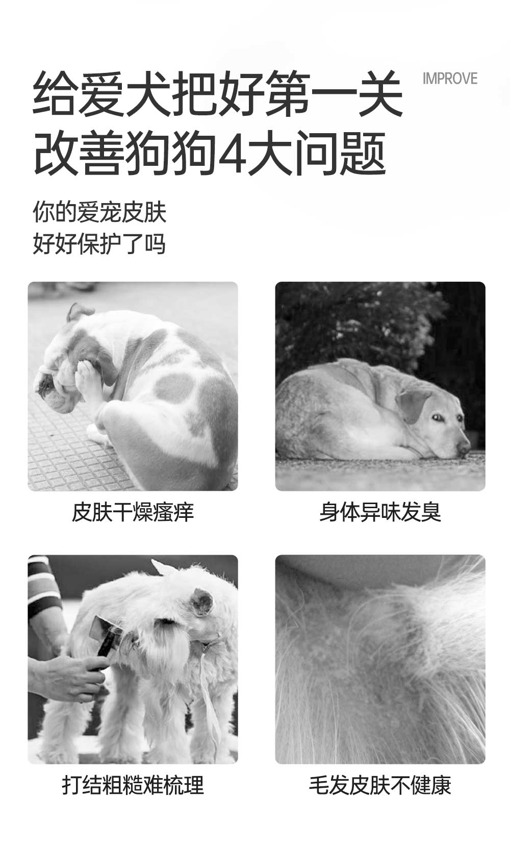 【JINCHONG今宠】全犬种蓬松沐浴露500mL /瓶   温和去污