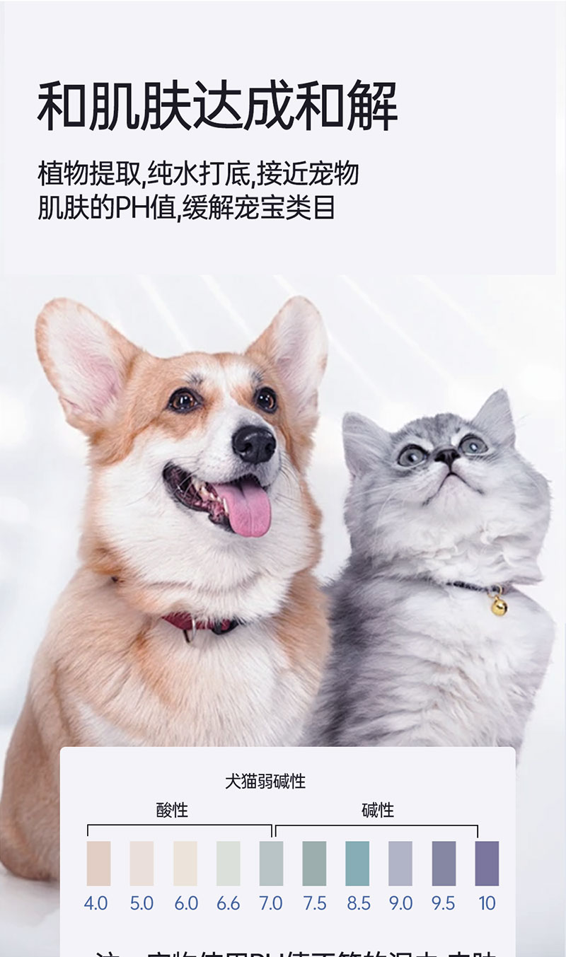 【JINCHONG今宠】宠物眼部湿巾  7无添加·0刺激舔趾无害 100片/盒