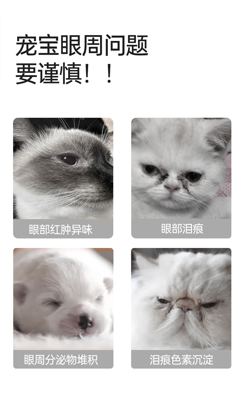 【JINCHONG今宠】宠物眼部湿巾  7无添加·0刺激舔趾无害 100片/盒