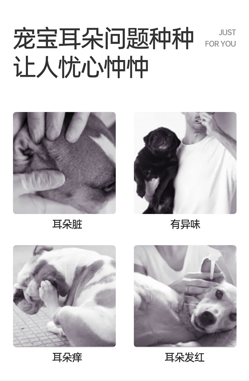 【JINCHONG今宠】 宠物洁耳手指湿巾 50片/盒