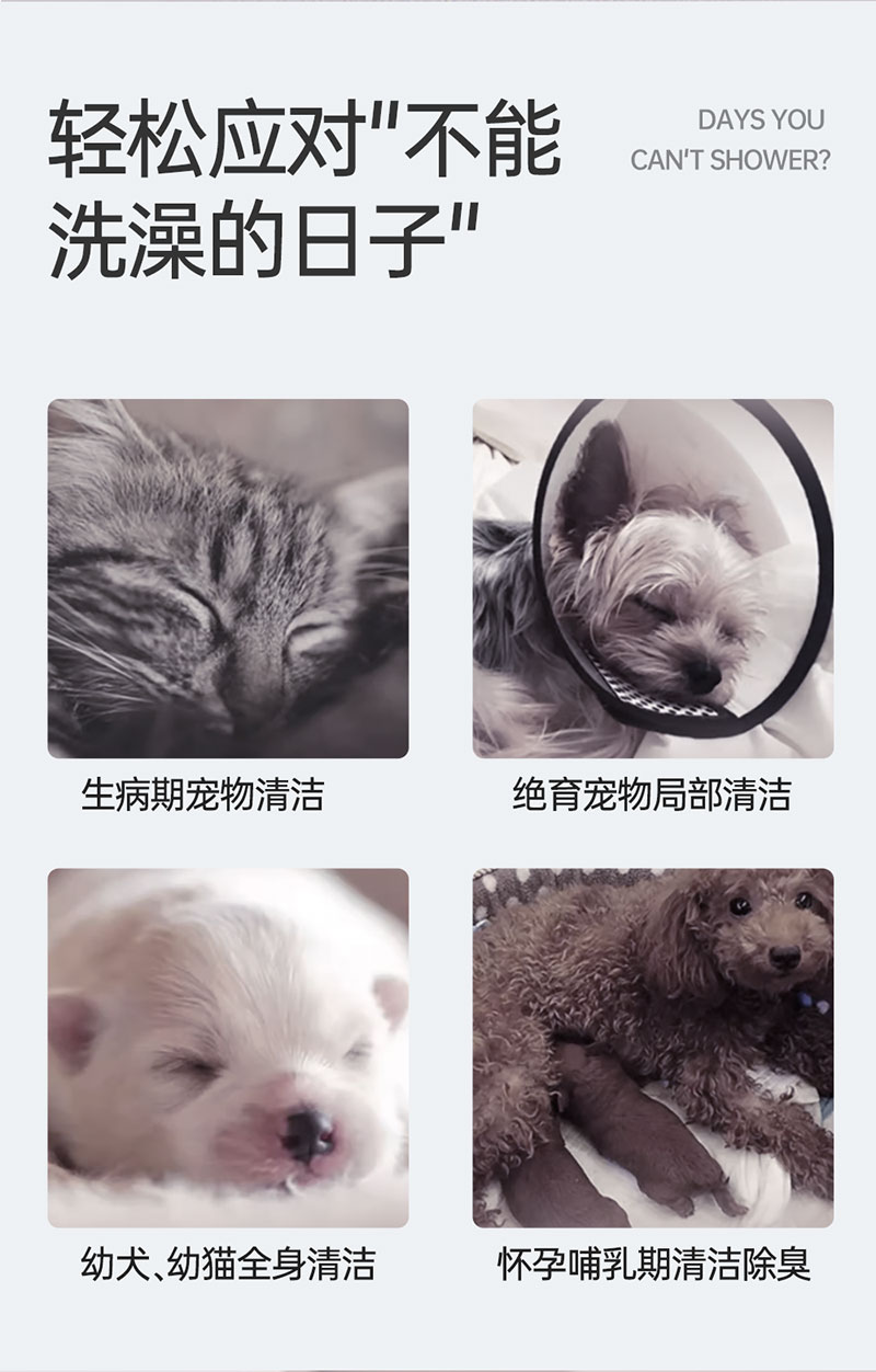 【JINCHONG今宠】宠物免洗清洁手套  6片/袋