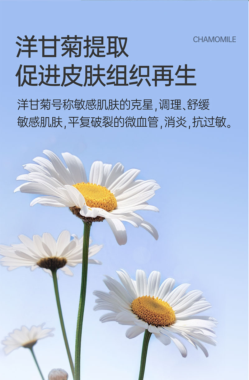 【JINCHONG今宠】宠物免洗清洁手套  6片/袋