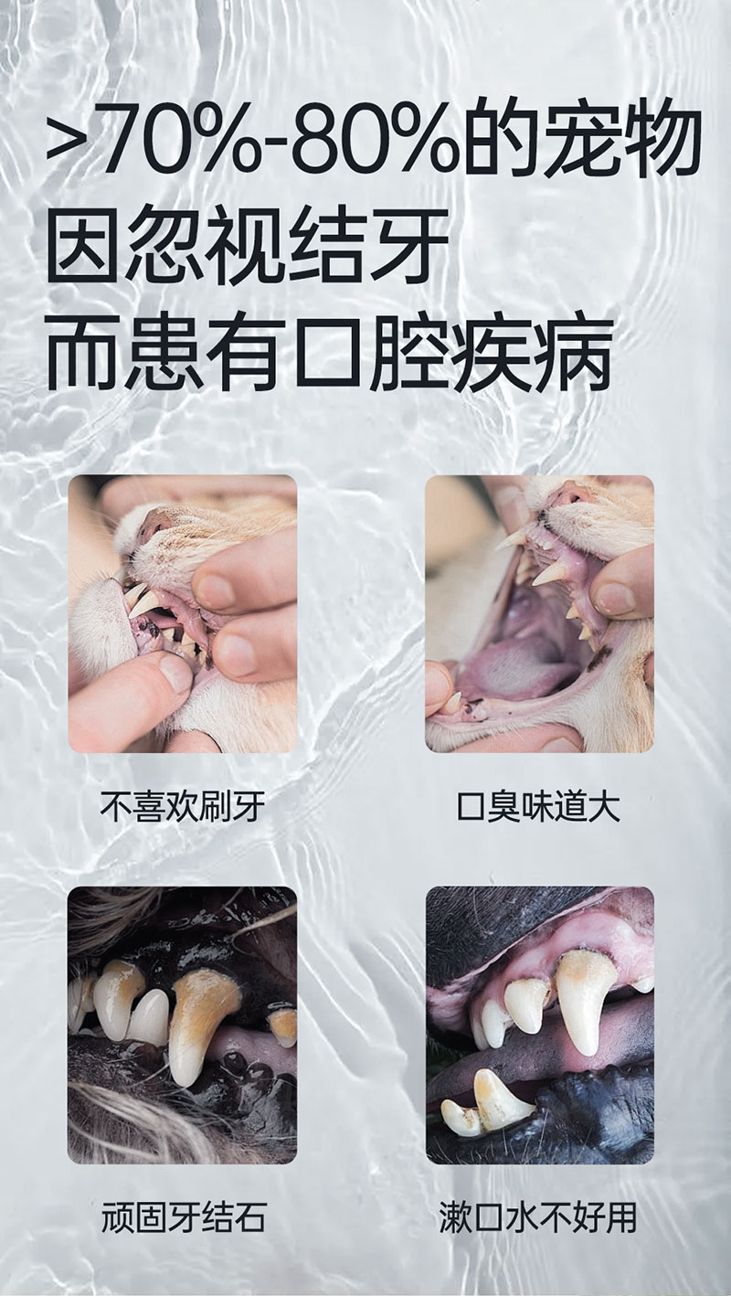 【JINCHONG今宠】  宠物牙齿手指湿巾  50片/袋