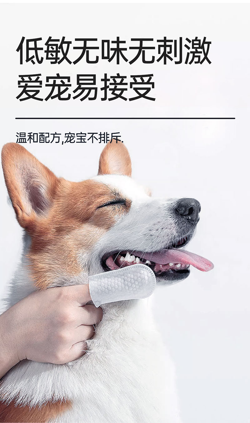 【JINCHONG今宠】  宠物牙齿手指湿巾  50片/袋
