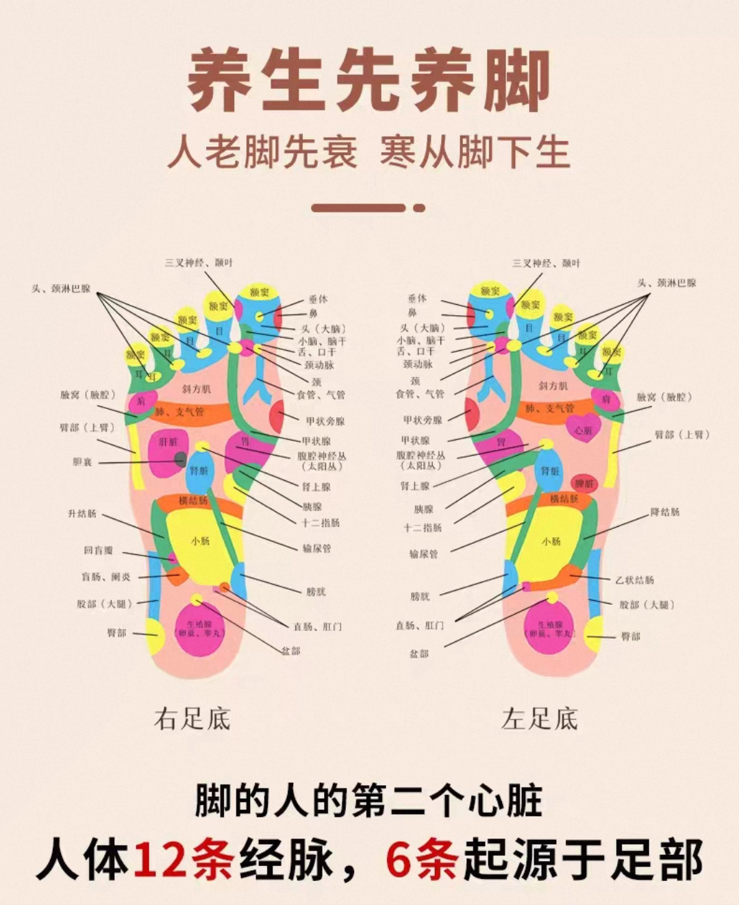 【限时秒杀】少林艾草花椒泡脚包30包/袋
