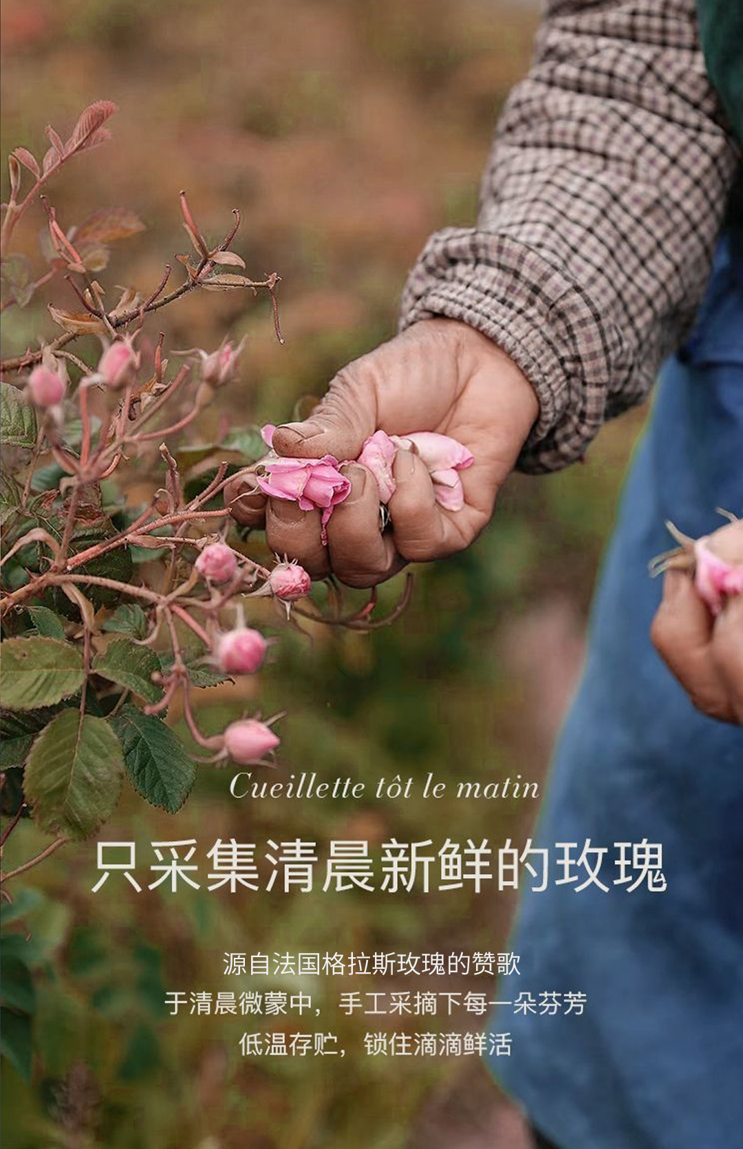 【兰寇AKQ】格拉斯玫瑰鲜花纯露 380ml/瓶（买1瓶发2瓶）