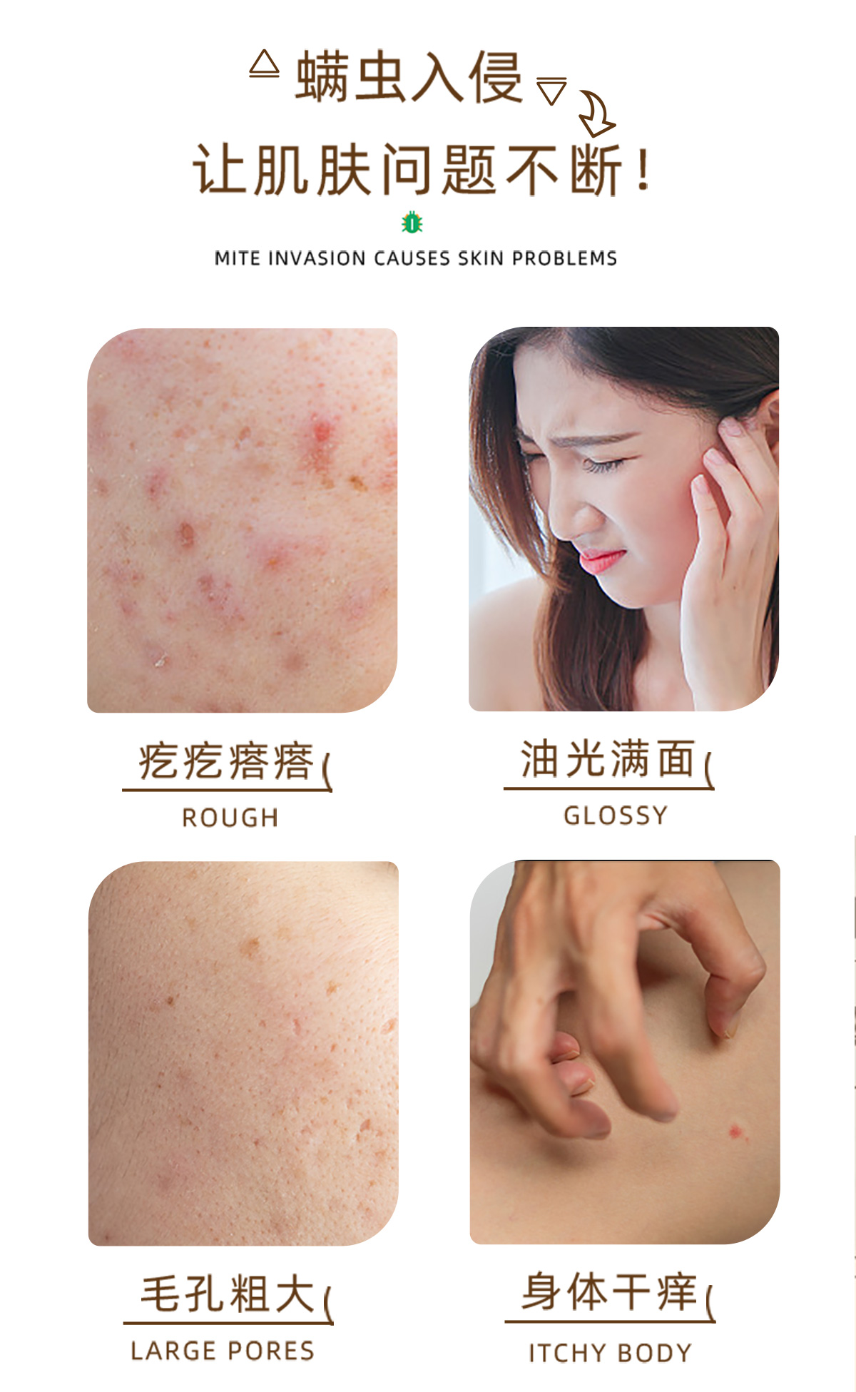 【兰寇AKQ】灵芝草本精油皂 100g/块（拍1盒发4盒）