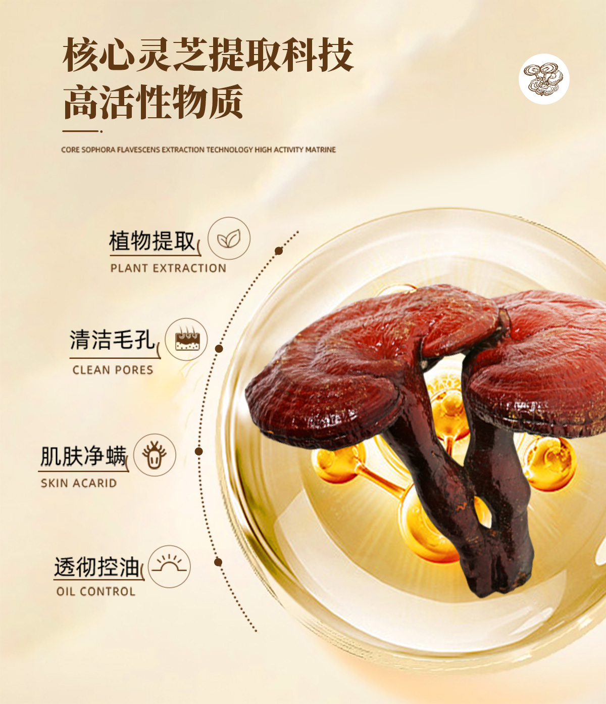 【兰寇AKQ】灵芝草本精油皂 100g/块（拍1盒发4盒）