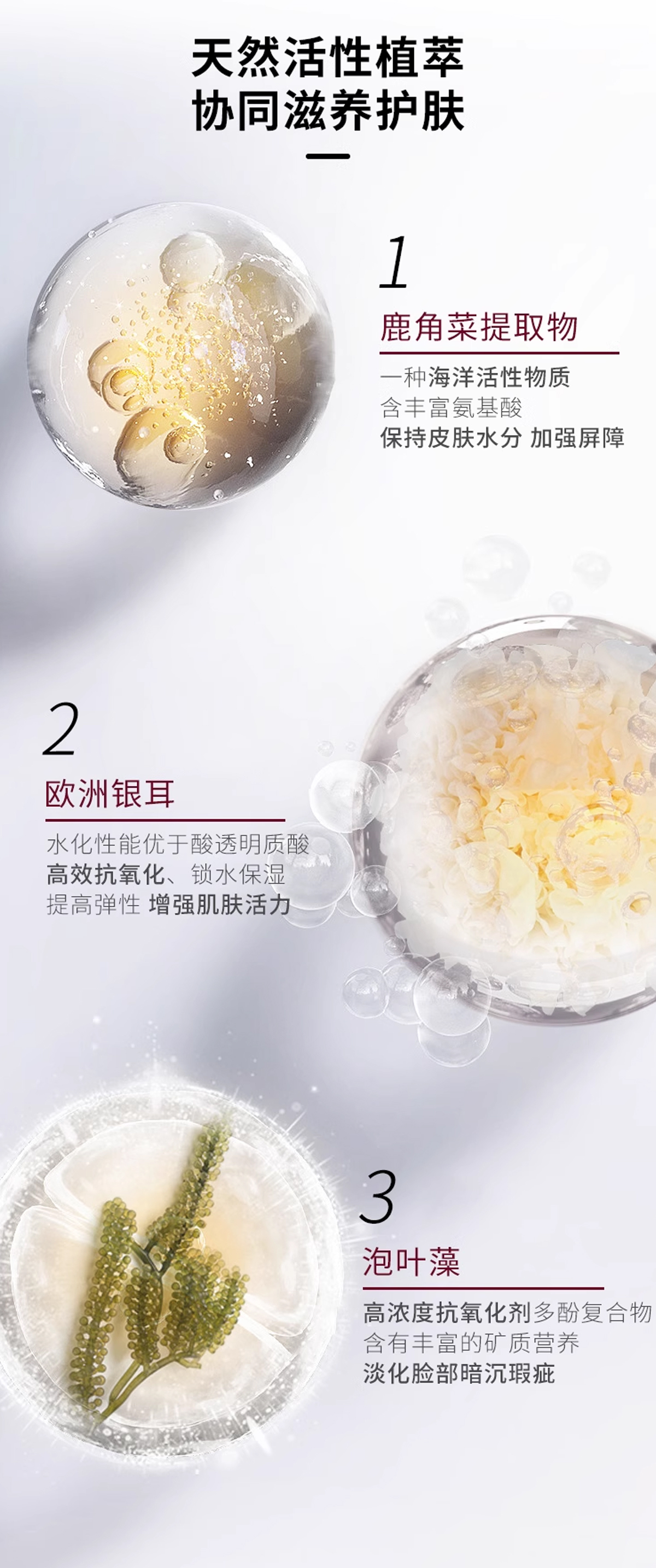 【兰寇AKQ】葡萄之谜多酚精萃水110ml/瓶 （拍1瓶发2瓶）