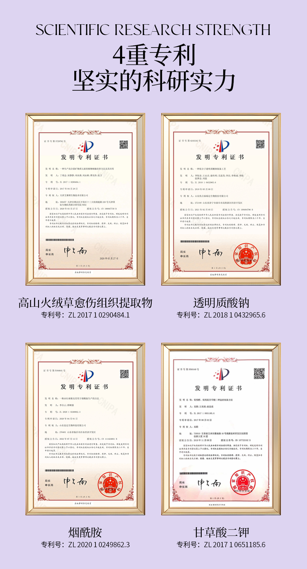 【LEGEE】时光密码逆龄乳  净含量120ml  打破功效壁垒 全方位抗皱