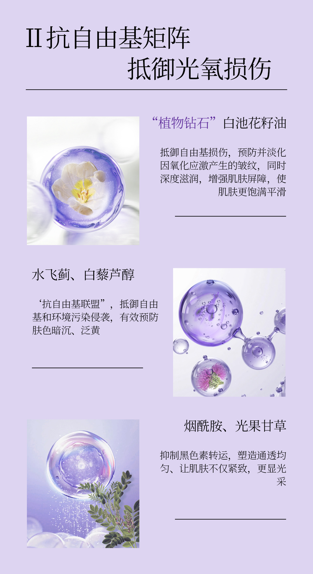 【LEGEE】时光密码逆龄乳  净含量120ml  打破功效壁垒 全方位抗皱