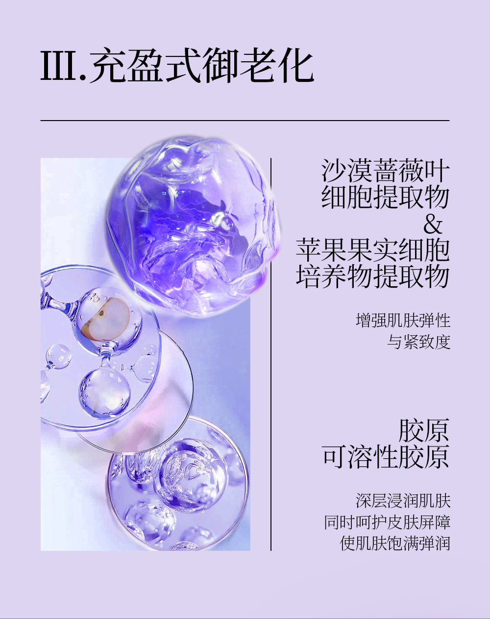【LEGEE】时光密码逆龄乳  净含量120ml  打破功效壁垒 全方位抗皱