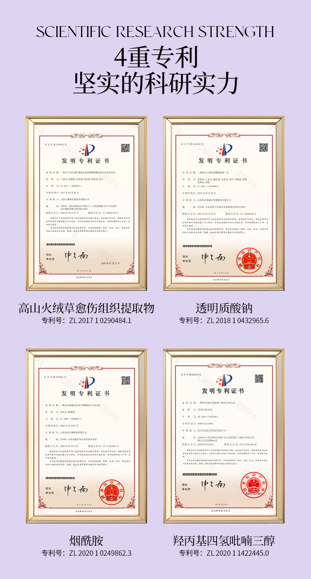【LEGEE】时光密码御龄霜    净含量50g  逆转时光 重塑年轻肌