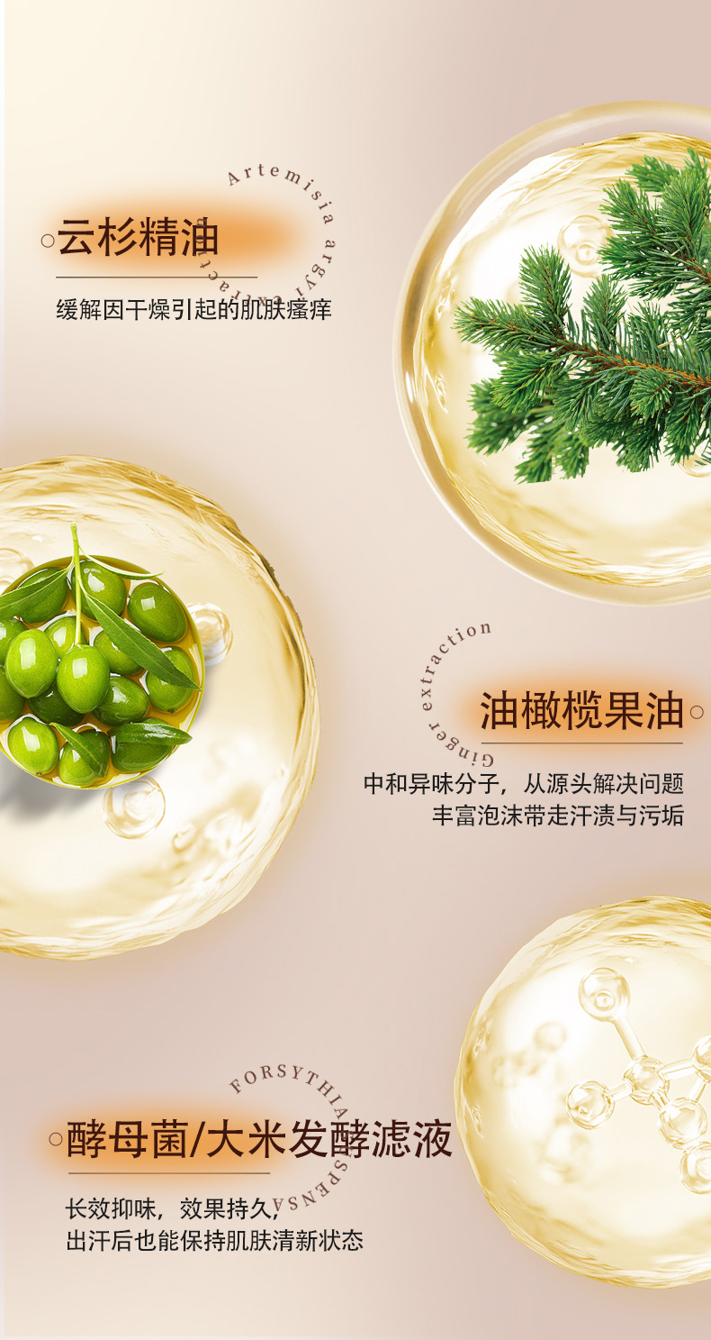 【苗家七草】云杉精油止痒留香沐浴露 规格500ml/瓶 24瓶/箱货号GM0803