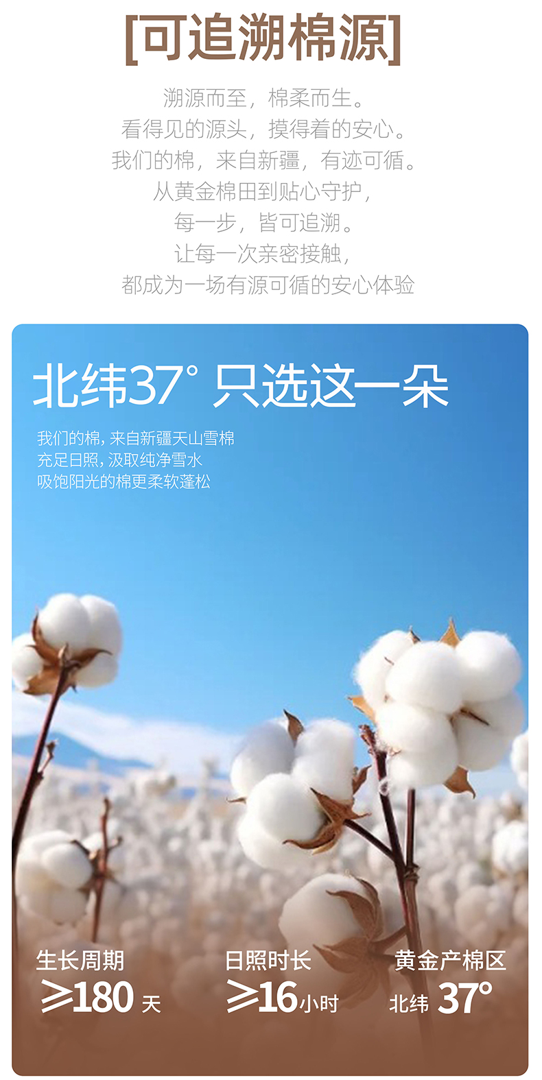 【棉本爱】消字号灭菌纯棉女性日抛内裤3条/包