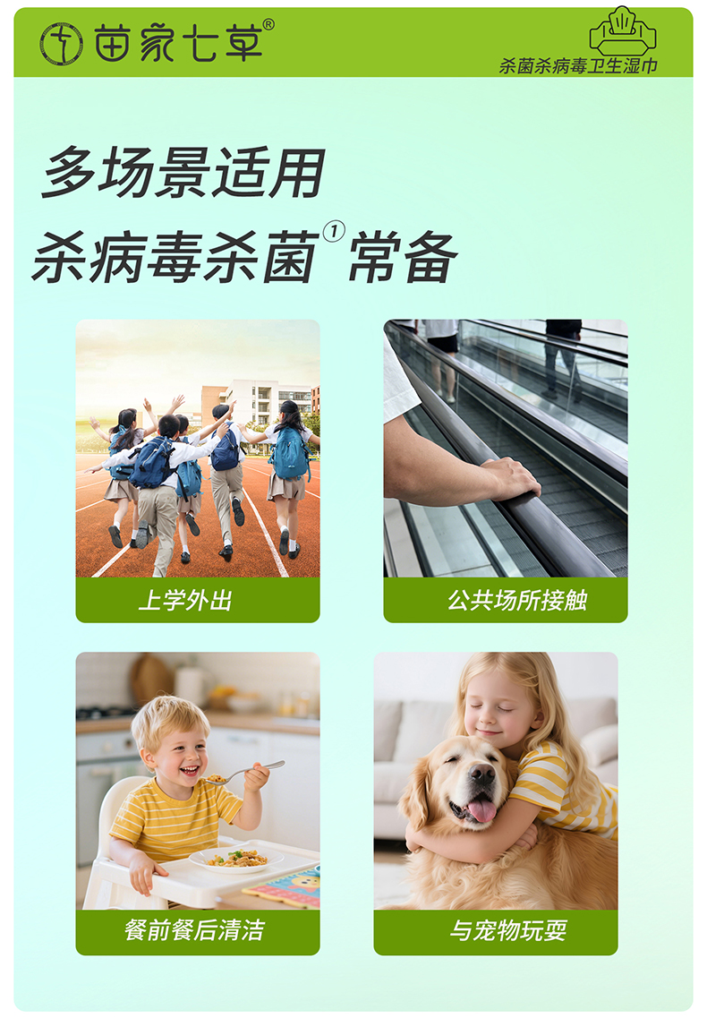 【苗家七草】消字号便携式消杀卫生湿巾 10片x10包 货号GM149