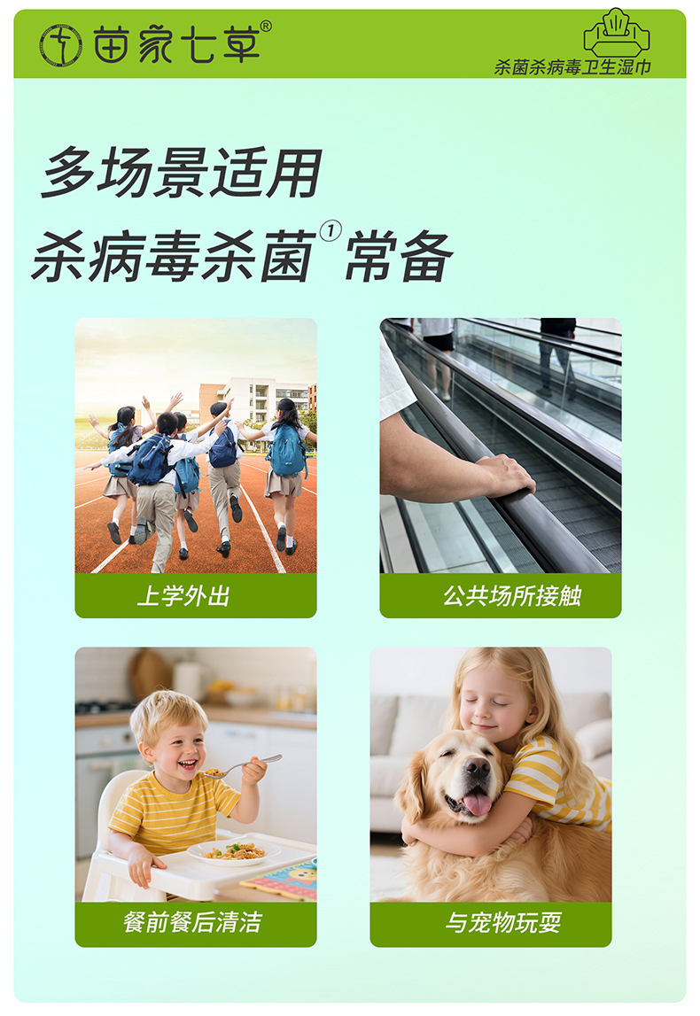 【苗家七草】消字号家居消杀卫生湿巾 80片/包 30包/箱 货号GM149